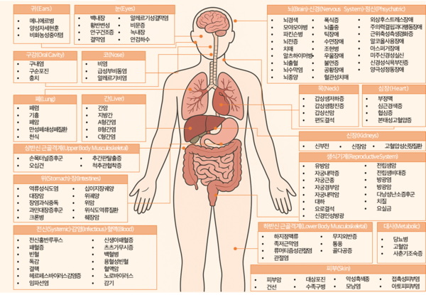 (사진=건보공단)