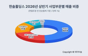 한솔홀딩스, 사업부문 매출 49%가 물류...전자까지 더하니 67% - 뉴스 썸네일 이미지