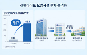 신한라이프, 요양시설 사업 본격화...건설중인자산 1년 새 11배 - 뉴스 썸네일 이미지